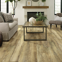 Shaw vinyl plank floor in living room