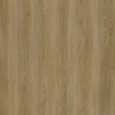 Taiga Aurra Vinyl Plank - Boston Promo Image