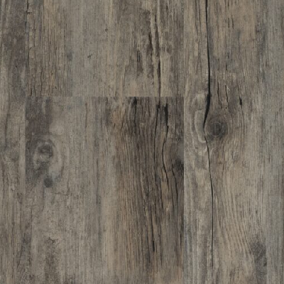 Taiga Aurra Vinyl Plank - Pale Rider Promo Image