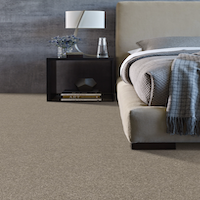 shaw carpet in bedroom