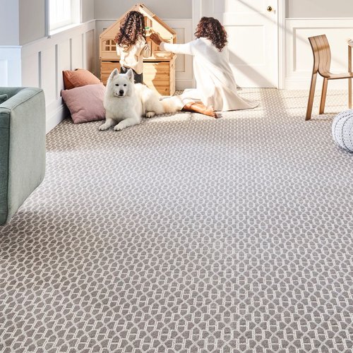 A living room interior with carpeted floors