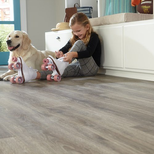 Laminate Flooring With Kid And Dog Sitting On It