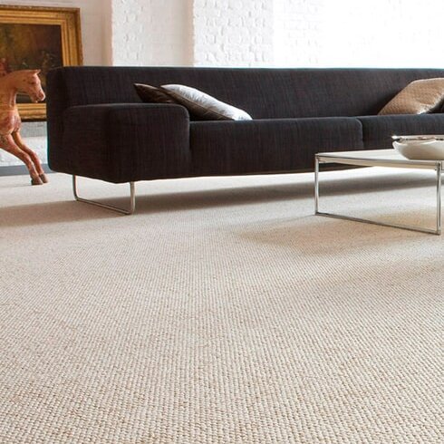 Carpet Product Articles Header Image With Couch On Carpet Flooring